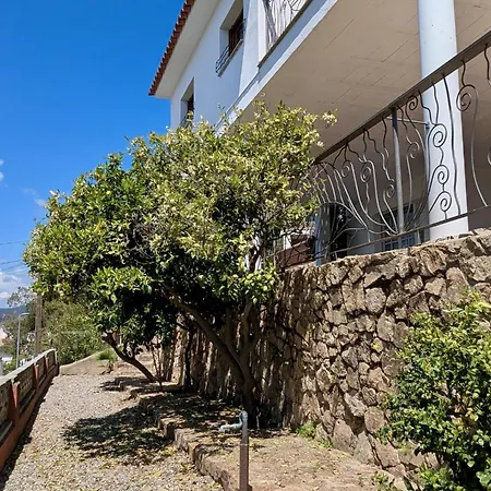 Evh-113 Casa Martina Ferienhaus Tossa de Mar